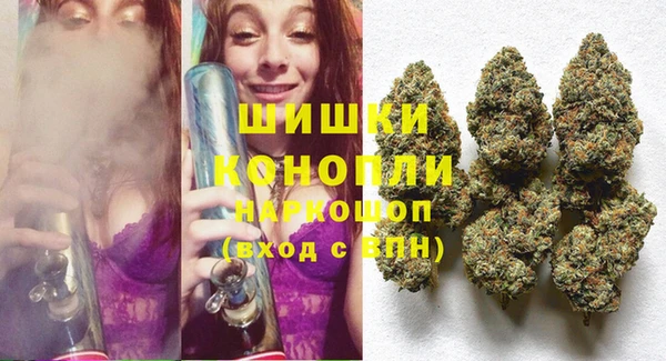 spice Арсеньев