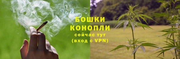 spice Арсеньев