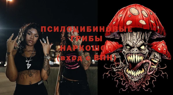 spice Арсеньев