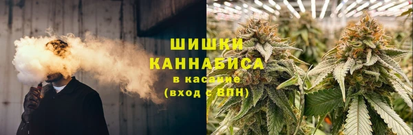 spice Арсеньев