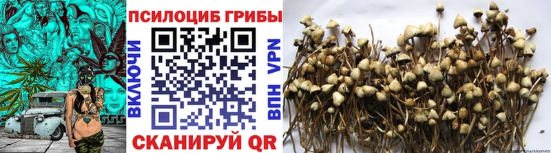 Галлюциногенные грибы Cubensis  Купить где  Поронайск 